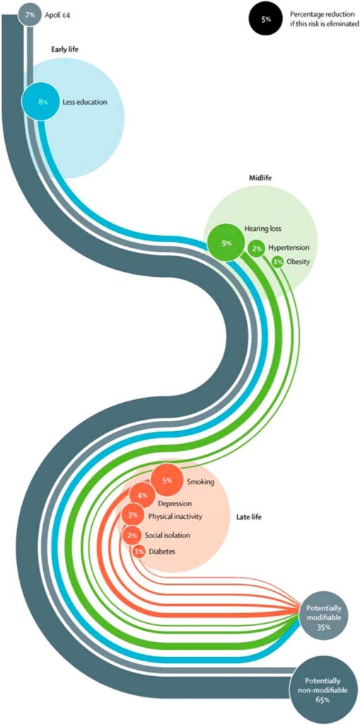 Diagram of how Hear loss impact Dementia